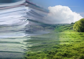 Разработка экологической документации в Минске: документация